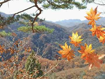 11月新邵縣坪上鎮(zhèn)，自然之旅的心靈覺醒最新消息