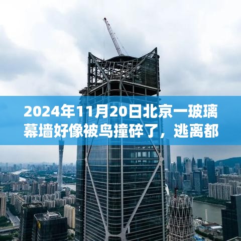 北京玻璃幕墻下的奇妙遭遇，自然與都市的意外交融