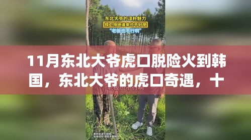 東北大爺虎口脫險故事火遍韓國，跨越國界的友情與暖心之旅