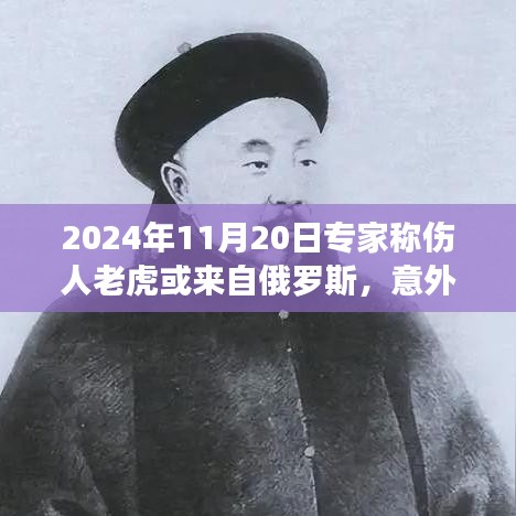 蛾眉曼睩