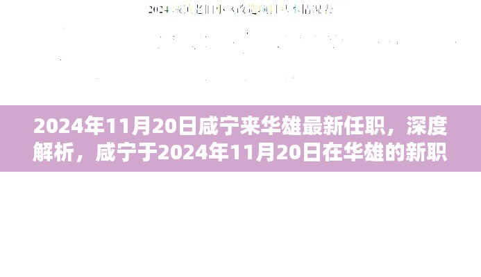 咸寧于華雄新職務(wù)揭秘，競(jìng)品對(duì)比與目標(biāo)用戶群體深度解析