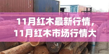 11月紅木市場行情深度解析，最新動態(tài)與未來趨勢展望