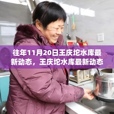 往年11月20日王慶坨水庫深度觀察與最新動態(tài)評測報告