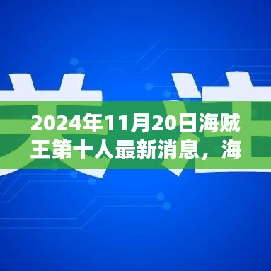 海賊王第十人最新動態(tài)揭秘，海洋秘密與友情的紐帶在2024年11月20日的新進展