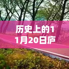 廬江東方都市房價(jià)查詢指南，揭秘歷史房價(jià)走勢(shì)與最新房價(jià)信息（詳細(xì)步驟指南）