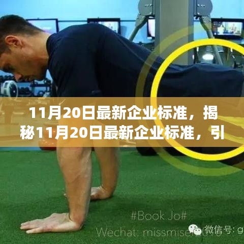 揭秘最新企業(yè)標準，引領企業(yè)成功的關鍵要素（11月20日更新）