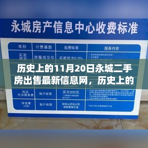 歷史上的11月20日永城二手房出售最新信息網(wǎng)，歷史上的今天，永城二手房市場(chǎng)的新篇章，學(xué)習(xí)變化的力量引領(lǐng)未來之光