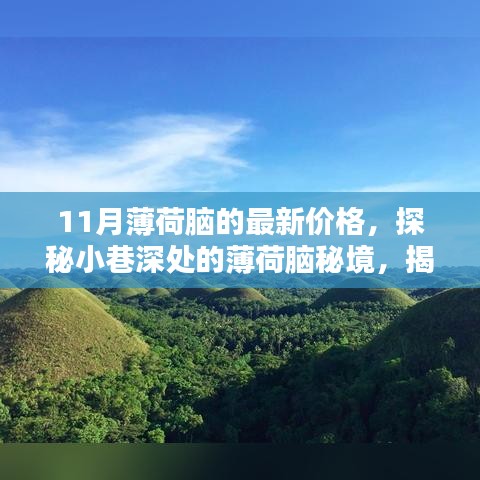飛鳥依人