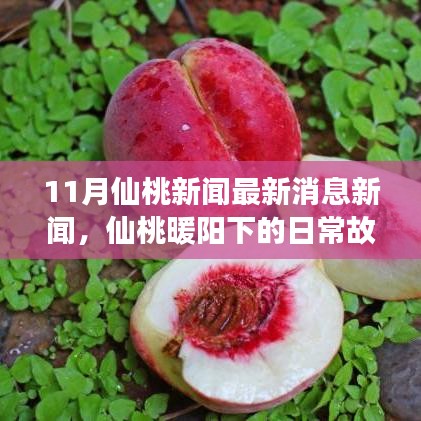 鳥啼花怨
