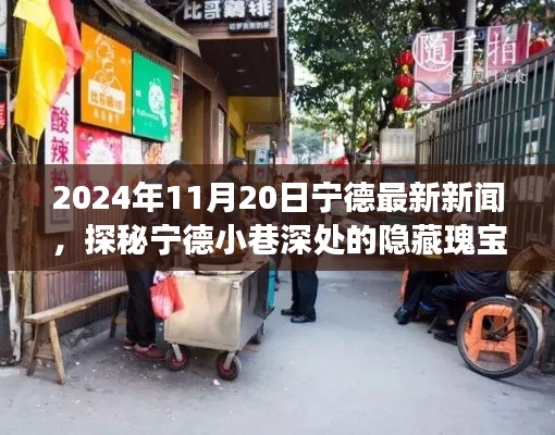 探秘寧德小巷深處的隱藏瑰寶，特色小店驚喜之旅（最新更新，2024年11月20日）