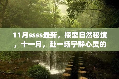 十一月秘境之旅，探索自然，寧靜心靈的盛宴