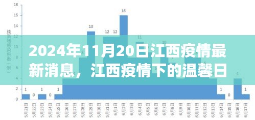 江西疫情下的溫馨日常，愛的傳遞與陪伴的故事（最新消息）
