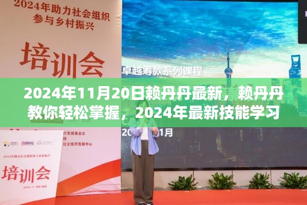 賴丹丹教你掌握最新技能學(xué)習(xí)與實(shí)踐步驟指南（初學(xué)者與進(jìn)階用戶適用，2024年最新版）