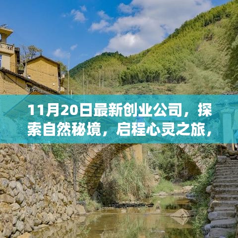 11月20日最新創(chuàng)業(yè)公司，探索自然秘境，啟程心靈之旅，一家新創(chuàng)公司帶你遠(yuǎn)離塵囂，尋找內(nèi)心的平和與寧?kù)o