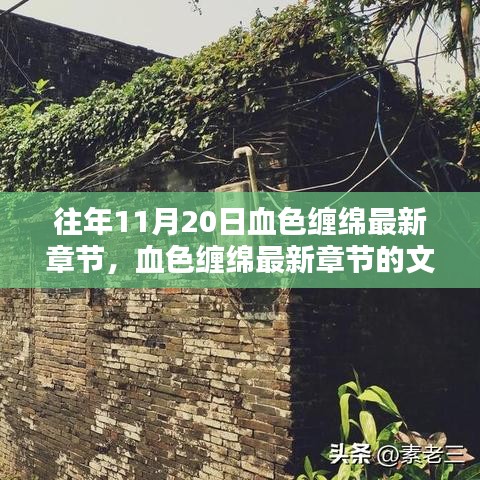 探討，往年11月20日血色纏綿最新章節(jié)的文學(xué)價(jià)值與社會(huì)影響評(píng)析