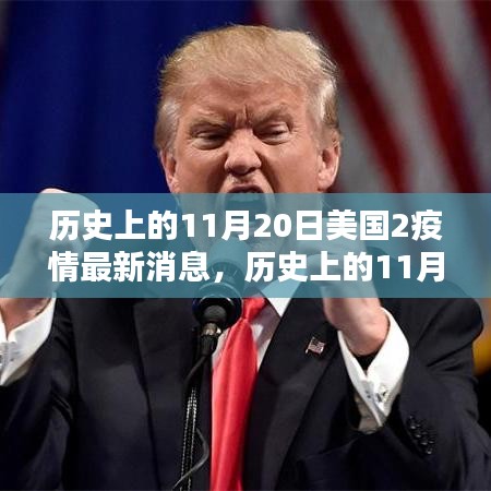 揭秘美國疫情最新動態(tài)，歷史上的11月20日最新消息回顧