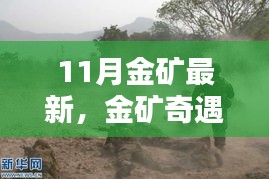 十一月金礦奇遇，金色溫情的探尋
