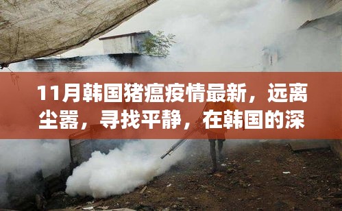 韓國深秋旅行見證豬瘟疫情后的希望之光，疫情最新進(jìn)展與平靜之旅
