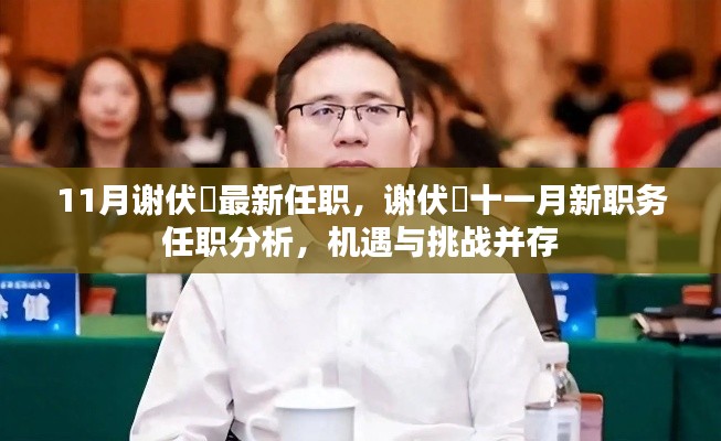 謝伏曕十一月新職務(wù)揭秘，機(jī)遇與挑戰(zhàn)并存的分析報告