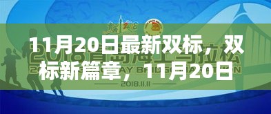 11月20日最新雙標(biāo)產(chǎn)品深度評(píng)測(cè)與介紹，開啟雙標(biāo)新篇章