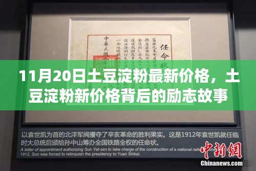 土豆淀粉新價(jià)格背后的勵(lì)志故事，學(xué)習(xí)、自信與成就感的閃耀之旅