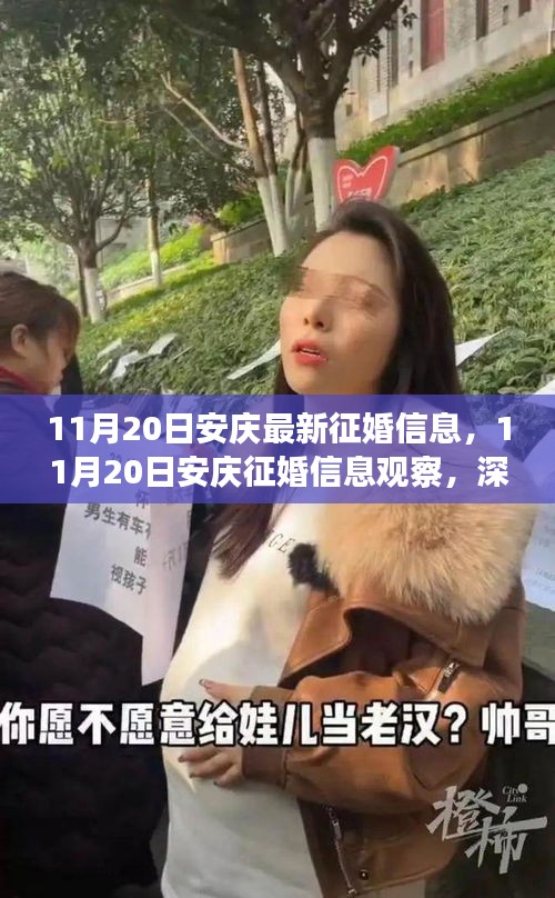深度解讀，安慶最新征婚信息觀察與背后的觀點(diǎn)立場(chǎng)分析