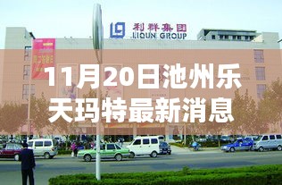 張張屈屈