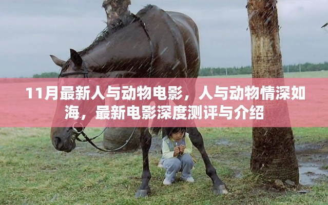 張王李趙