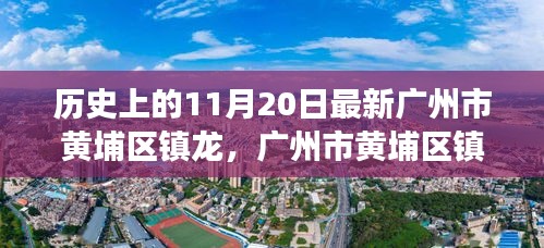 如鳥獸散