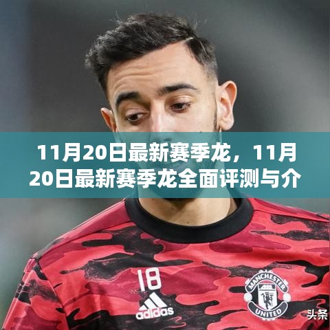 最新賽季龍全面評測與介紹，11月20日更新亮點解析