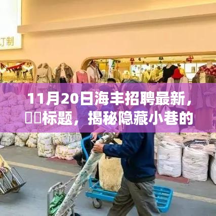 揭秘隱藏小巷的神秘招聘寶藏，海豐招聘最新特色小店探秘之旅（11月20日最新）