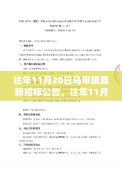 往年11月20日烏審旗最新招標公告及其多維度視角分析解讀