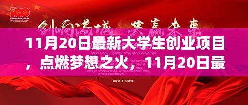 最新大學生創(chuàng)業(yè)項目點燃夢想之火，崛起之路與學習帶來的自信與成就感