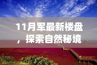 11月最新樓盤奇妙之旅，自然秘境探索與內(nèi)心寧靜的邂逅