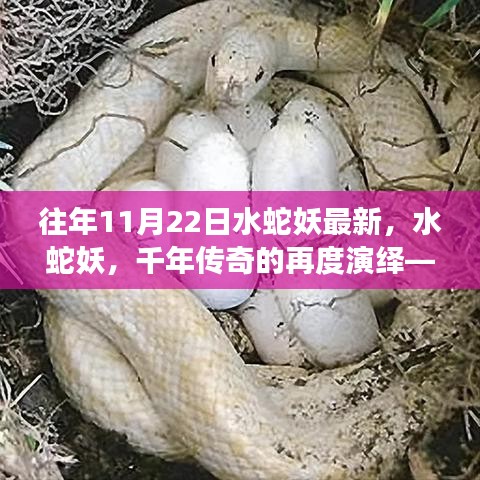 歷年十一月二十二日深度解讀，水蛇妖傳奇再現(xiàn)與千年演繹探索