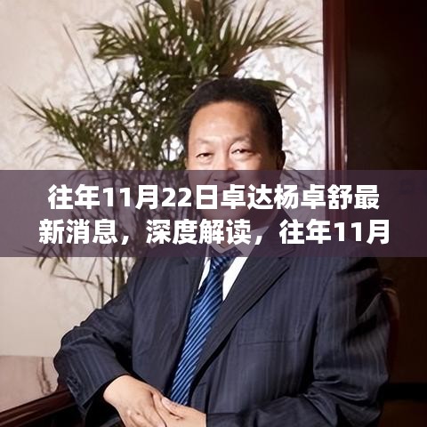 卓達楊卓舒最新消息解讀，多維視角下的深度探討