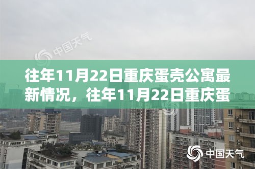 往年11月22日重慶蛋殼公寓最新動態(tài)解析，洞悉公寓最新情況與發(fā)展趨勢