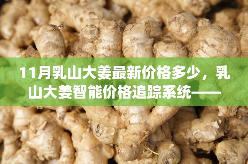 科技引領生活，乳山大姜實時價格追蹤系統(tǒng)——最新姜價動態(tài)盡在掌握