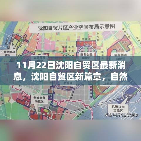 11月22日沈陽自貿(mào)區(qū)最新消息，沈陽自貿(mào)區(qū)新篇章，自然之旅的心靈覺醒與平靜之旅的啟程