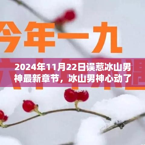 冰山男神心動了，誤惹情緣最新篇章深度解析（2024年11月22日更新）