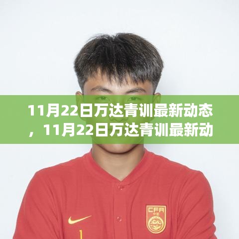 獨家揭秘，萬達青訓最新動態(tài)解讀，青訓計劃特性、體驗與競品對比全解析
