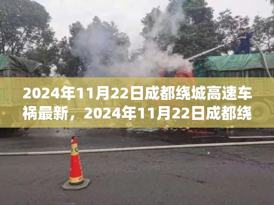 2024年11月22日成都繞城高速車禍最新進展，深度解析與案例分析