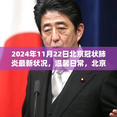 北京冠狀肺炎最新?tīng)顩r，特殊一天下的溫馨日常（2024年11月22日）
