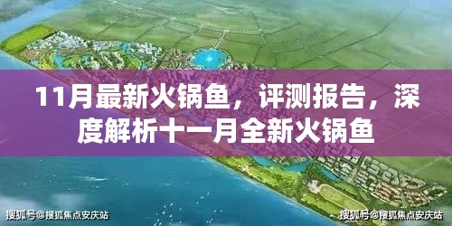 十一月全新火鍋魚深度評(píng)測(cè)報(bào)告，最新美食體驗(yàn)解析