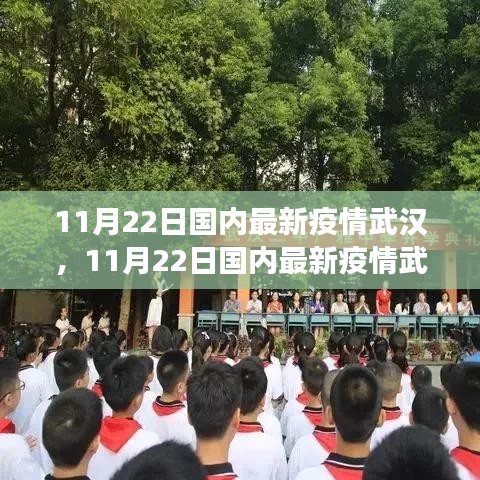 11月22日武漢疫情觀察，多方觀點(diǎn)下的深度解析與個(gè)人立場(chǎng)