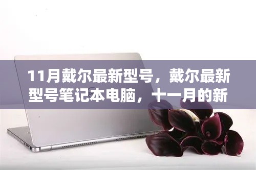 戴爾最新筆記本電腦型號(hào)引領(lǐng)時(shí)代風(fēng)潮，十一月新星登場(chǎng)