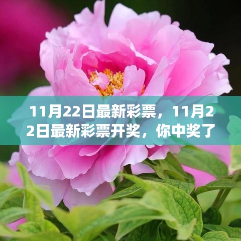 揭秘彩票背后的秘密，好運與你同在，最新彩票開獎結(jié)果揭曉！