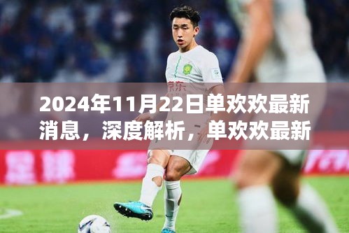 單歡歡最新消息深度解析，全面評測與介紹（2024年11月22日）
