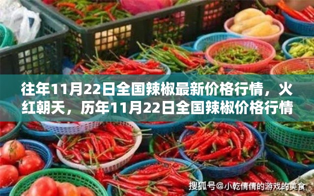 歷年11月22日全國辣椒價(jià)格行情回顧，火紅朝天，波瀾起伏的辣椒市場(chǎng)