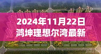 鴻坤理想爾灣最新動(dòng)態(tài)解析，2024年11月22日的觀點(diǎn)洞察